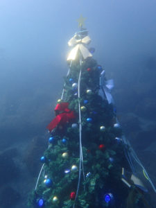 水中クリスマスツリー